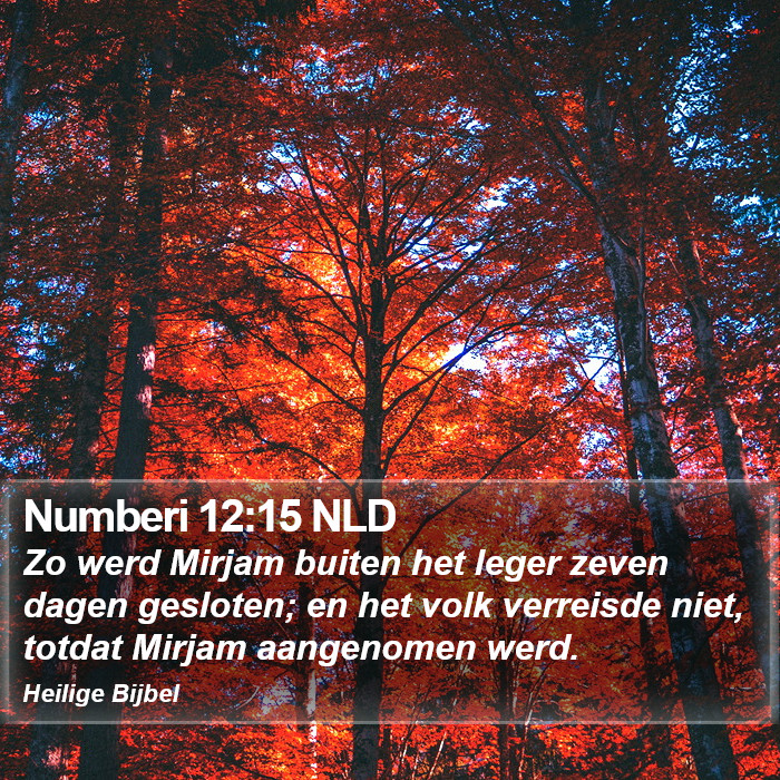 Numberi 12:15 NLD Bible Study
