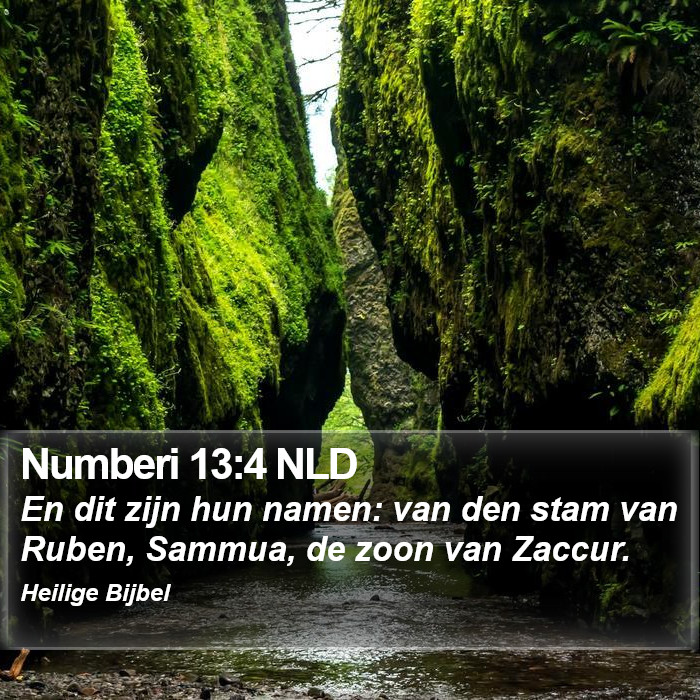 Numberi 13:4 NLD Bible Study