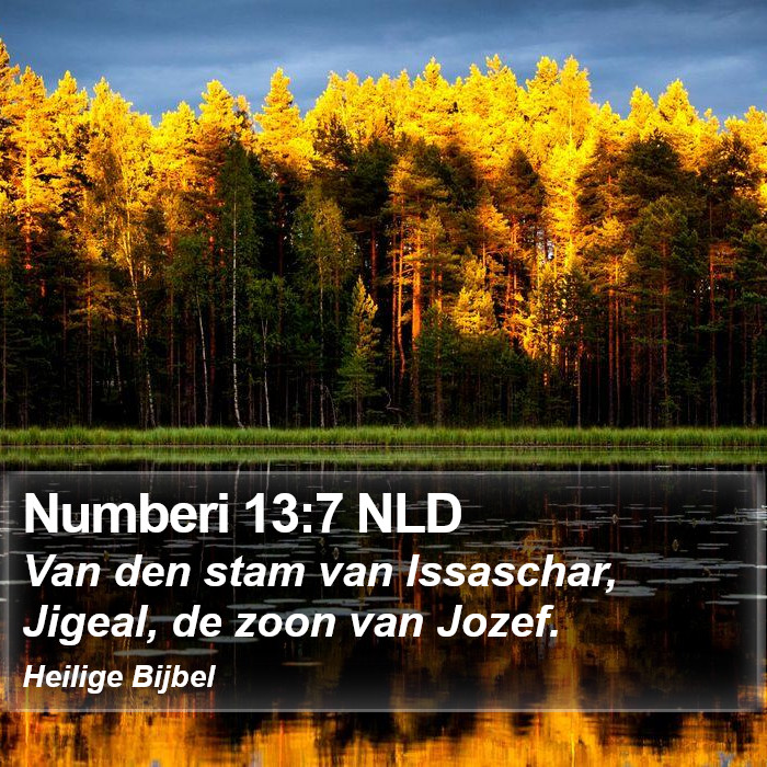 Numberi 13:7 NLD Bible Study