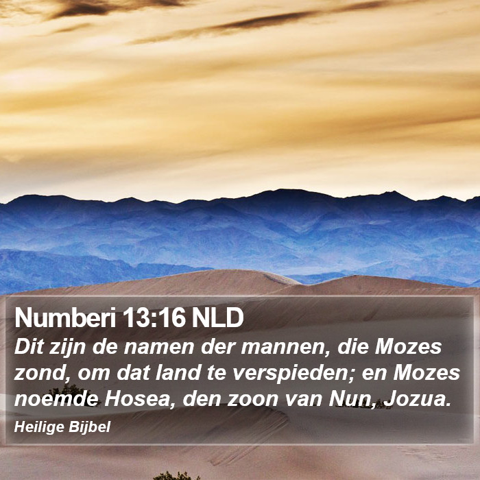 Numberi 13:16 NLD Bible Study