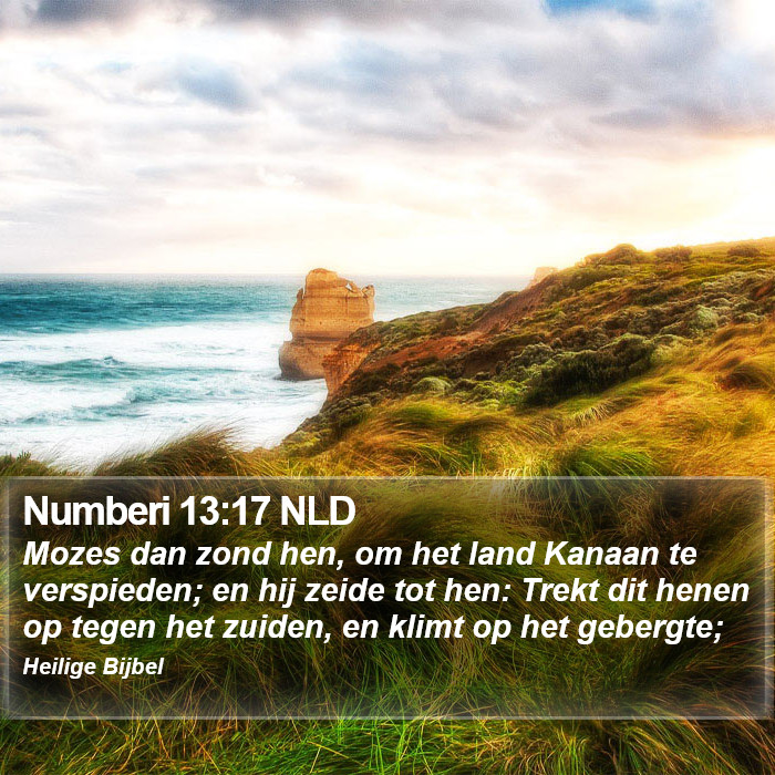 Numberi 13:17 NLD Bible Study