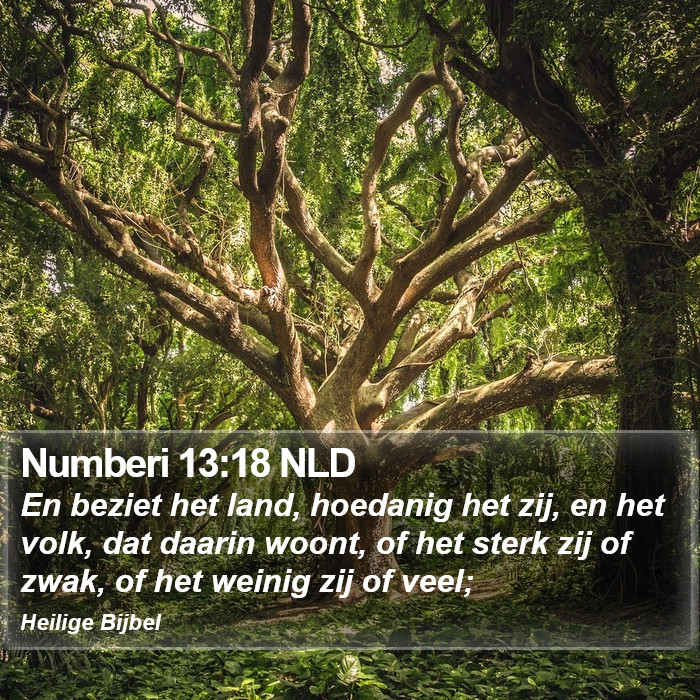 Numberi 13:18 NLD Bible Study