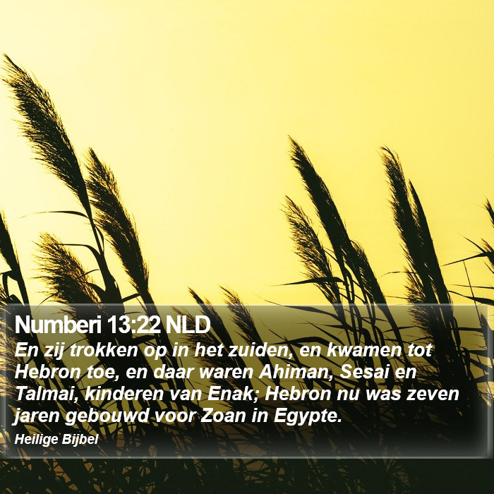 Numberi 13:22 NLD Bible Study