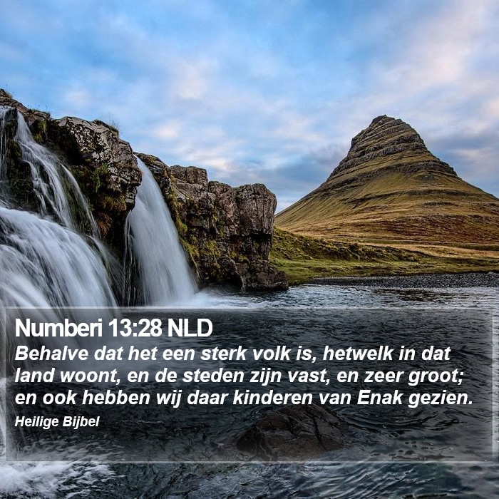 Numberi 13:28 NLD Bible Study