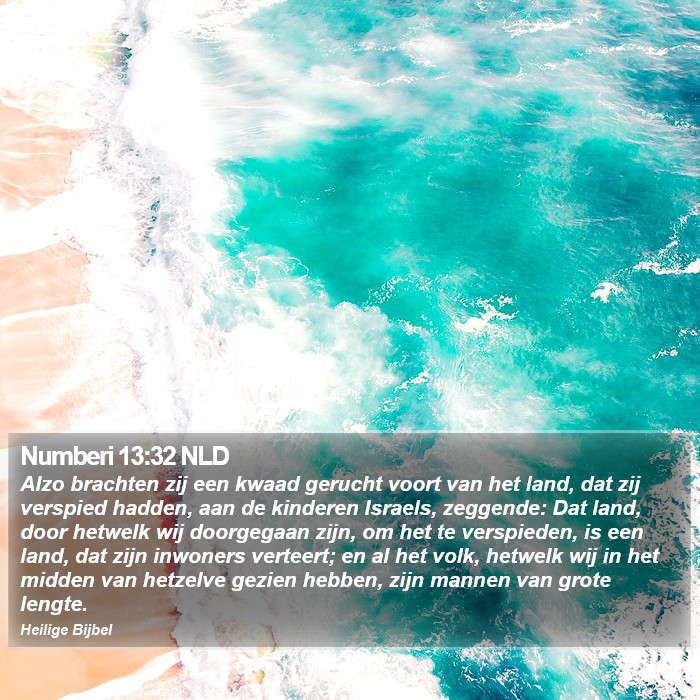 Numberi 13:32 NLD Bible Study