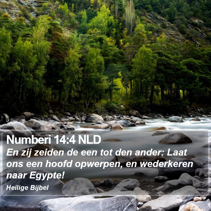 Numberi 14:4 NLD Bible Study