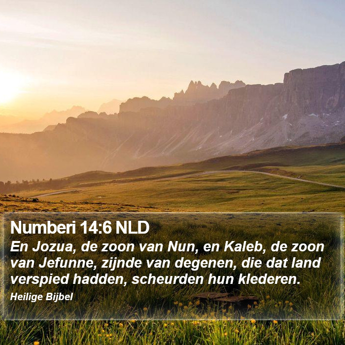 Numberi 14:6 NLD Bible Study