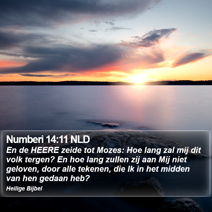 Numberi 14:11 NLD Bible Study