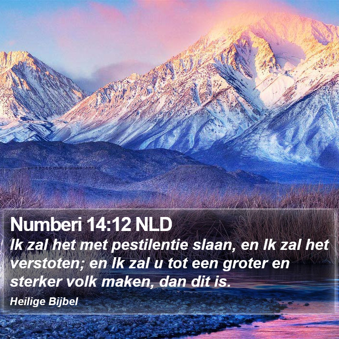 Numberi 14:12 NLD Bible Study
