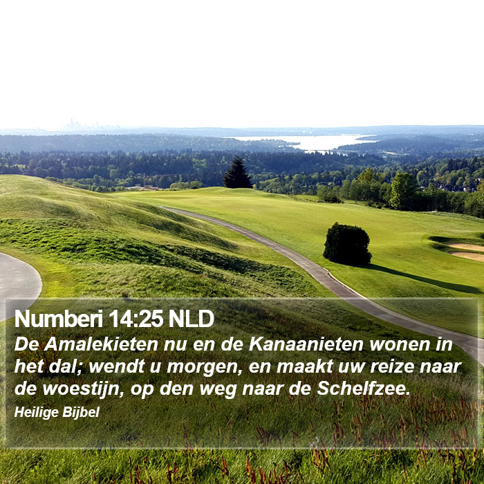Numberi 14:25 NLD Bible Study