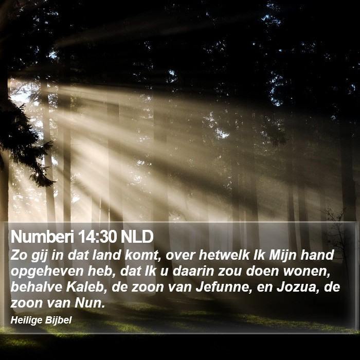 Numberi 14:30 NLD Bible Study