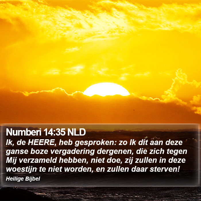 Numberi 14:35 NLD Bible Study