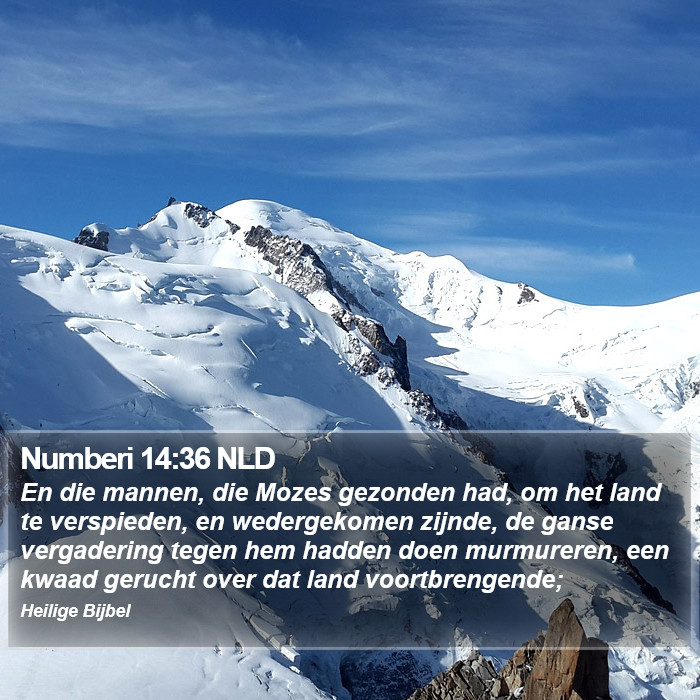 Numberi 14:36 NLD Bible Study
