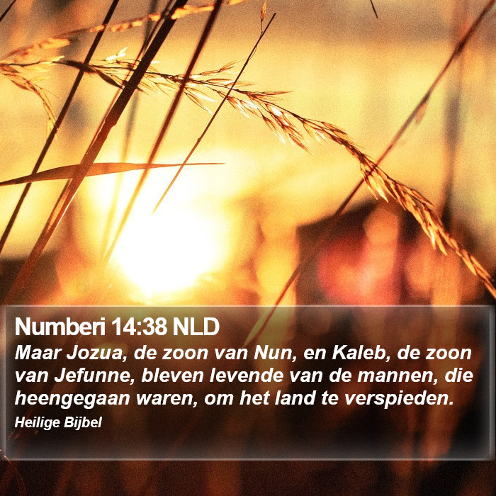 Numberi 14:38 NLD Bible Study