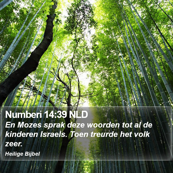Numberi 14:39 NLD Bible Study