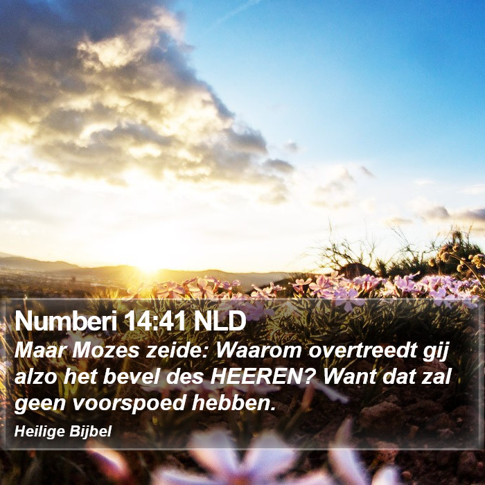 Numberi 14:41 NLD Bible Study