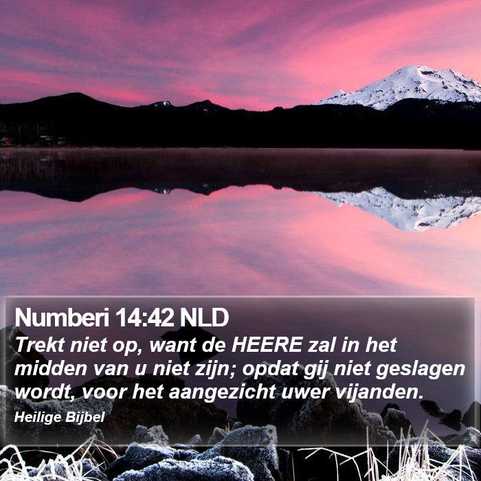 Numberi 14:42 NLD Bible Study