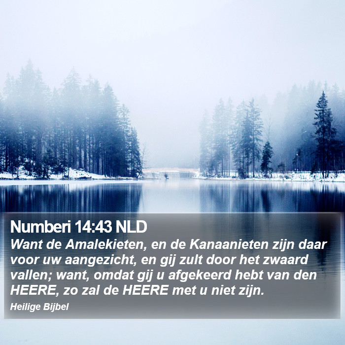 Numberi 14:43 NLD Bible Study