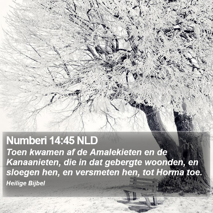 Numberi 14:45 NLD Bible Study