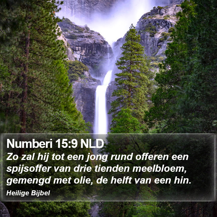 Numberi 15:9 NLD Bible Study