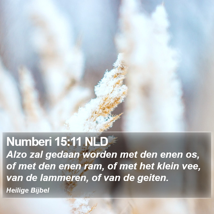 Numberi 15:11 NLD Bible Study