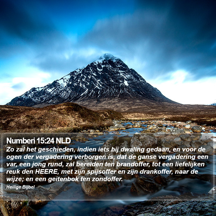 Numberi 15:24 NLD Bible Study