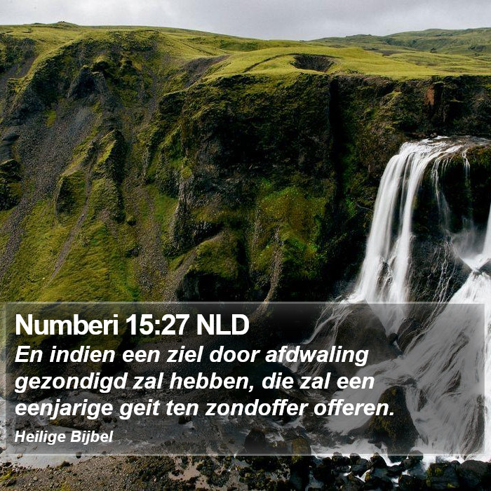 Numberi 15:27 NLD Bible Study