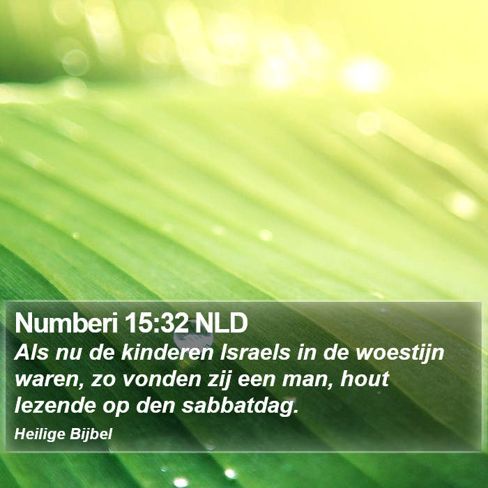 Numberi 15:32 NLD Bible Study