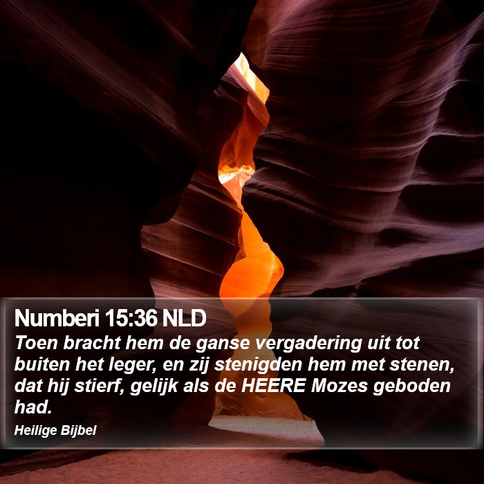 Numberi 15:36 NLD Bible Study