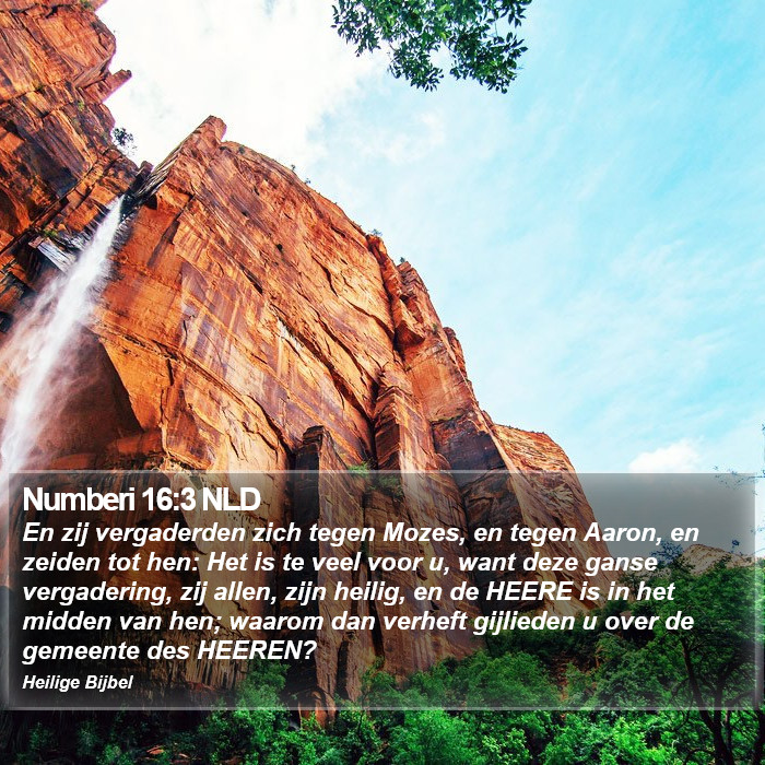 Numberi 16:3 NLD Bible Study