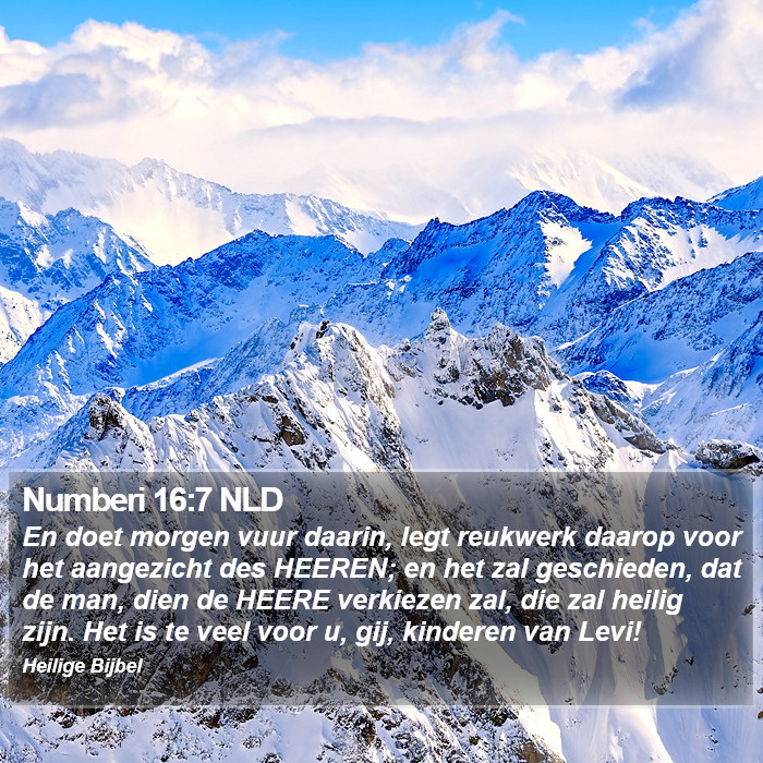 Numberi 16:7 NLD Bible Study