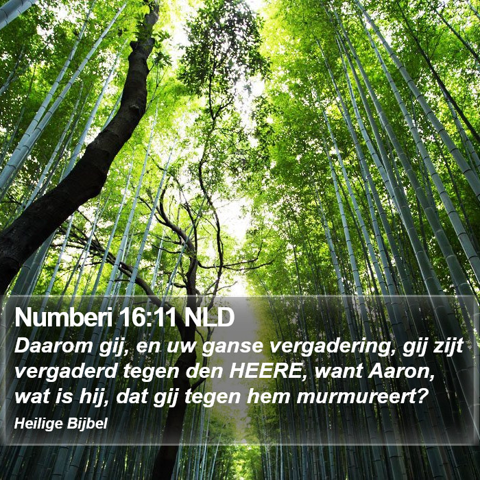 Numberi 16:11 NLD Bible Study