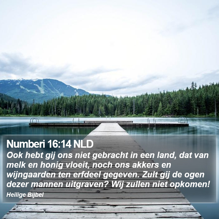 Numberi 16:14 NLD Bible Study