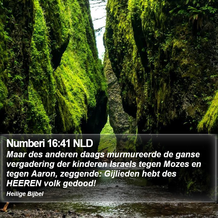 Numberi 16:41 NLD Bible Study