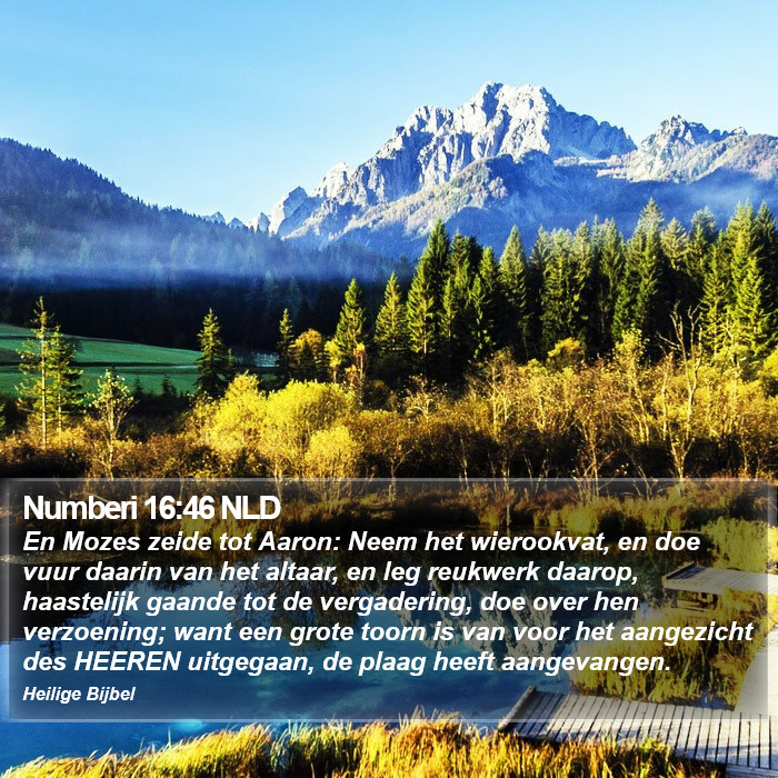 Numberi 16:46 NLD Bible Study