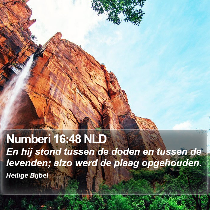 Numberi 16:48 NLD Bible Study