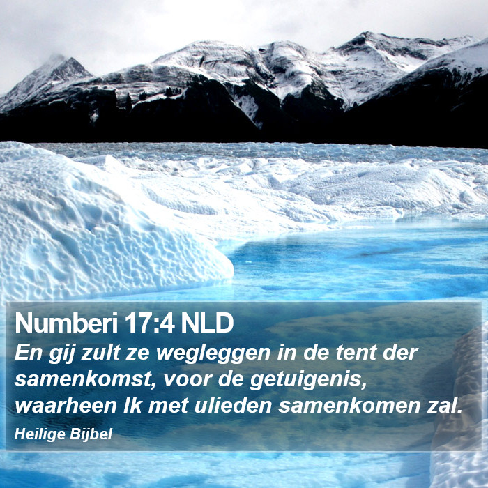 Numberi 17:4 NLD Bible Study