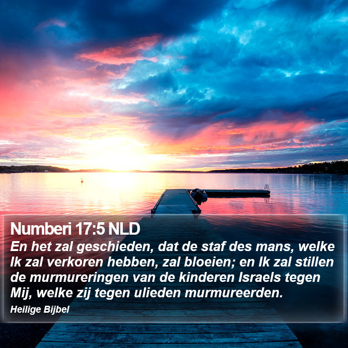 Numberi 17:5 NLD Bible Study