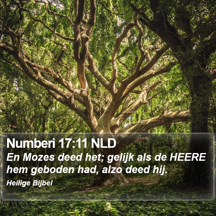 Numberi 17:11 NLD Bible Study