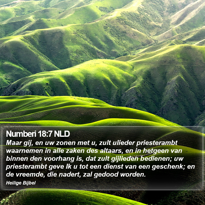Numberi 18:7 NLD Bible Study