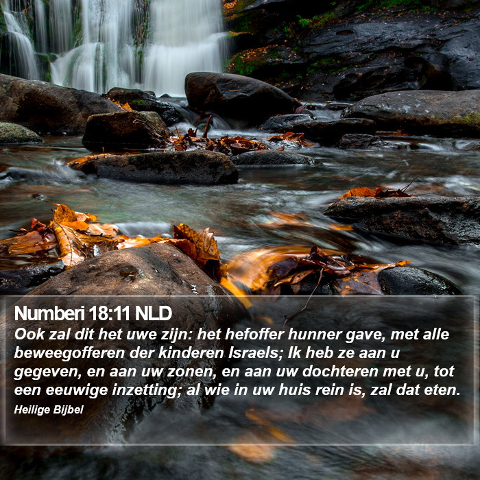Numberi 18:11 NLD Bible Study