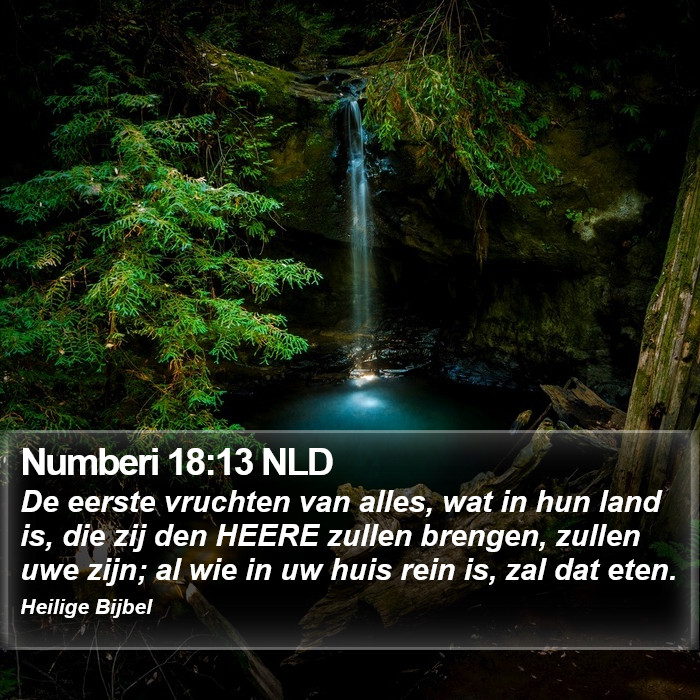 Numberi 18:13 NLD Bible Study