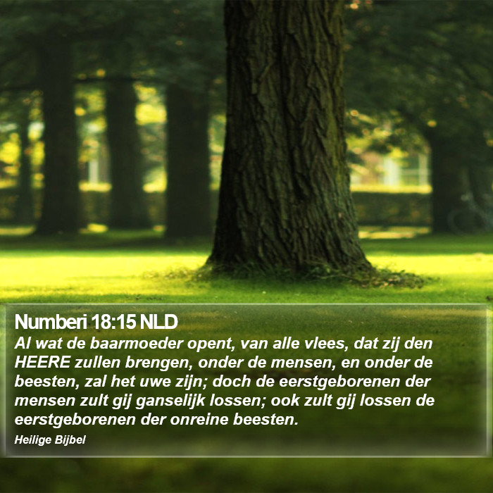Numberi 18:15 NLD Bible Study