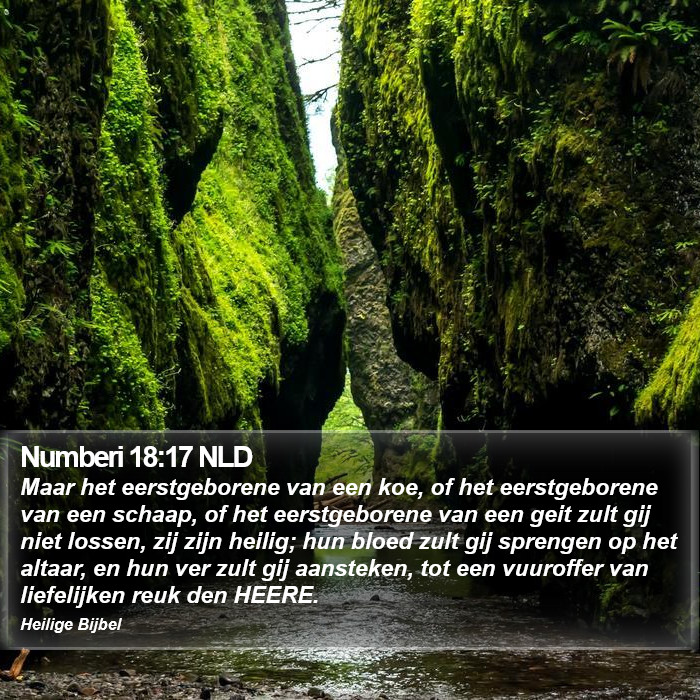 Numberi 18:17 NLD Bible Study