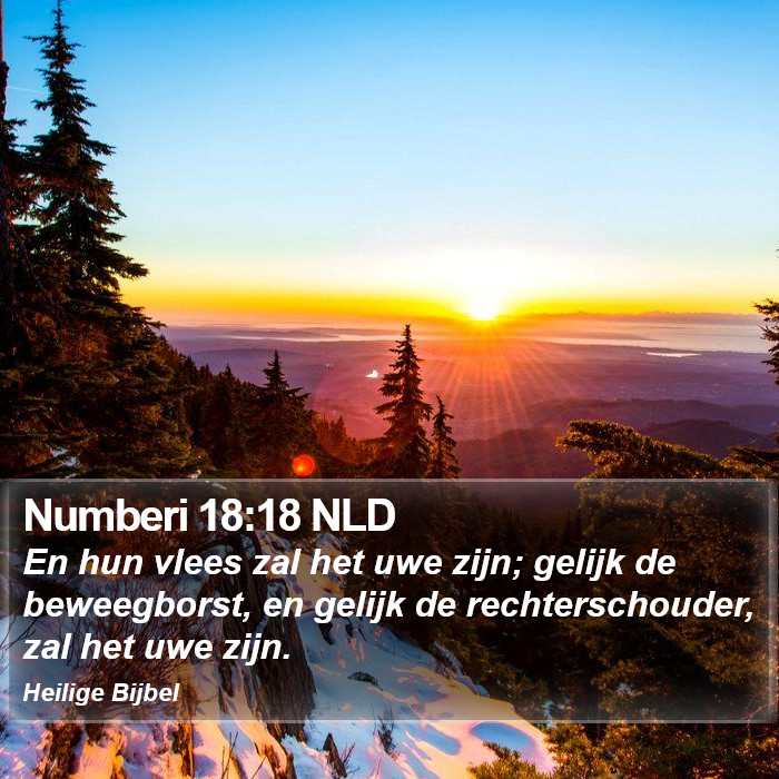 Numberi 18:18 NLD Bible Study