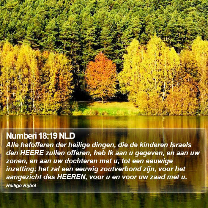 Numberi 18:19 NLD Bible Study