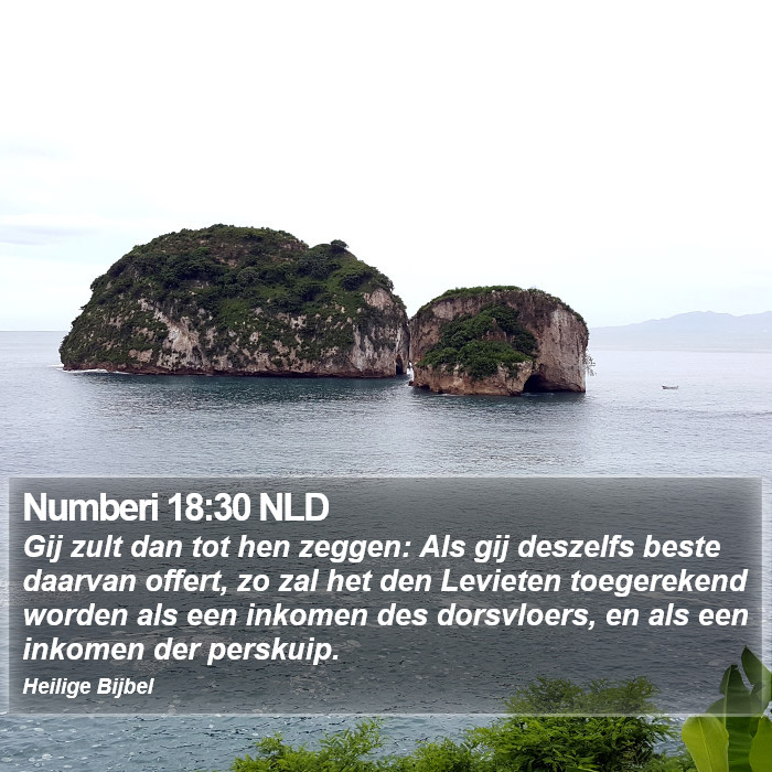 Numberi 18:30 NLD Bible Study