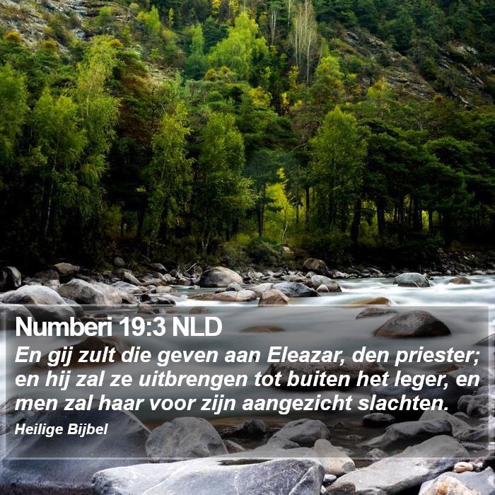 Numberi 19:3 NLD Bible Study