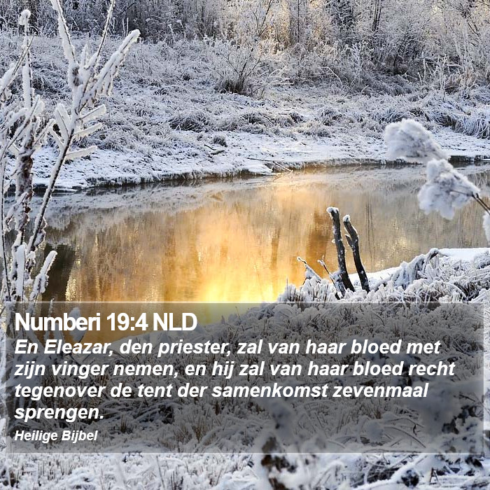 Numberi 19:4 NLD Bible Study