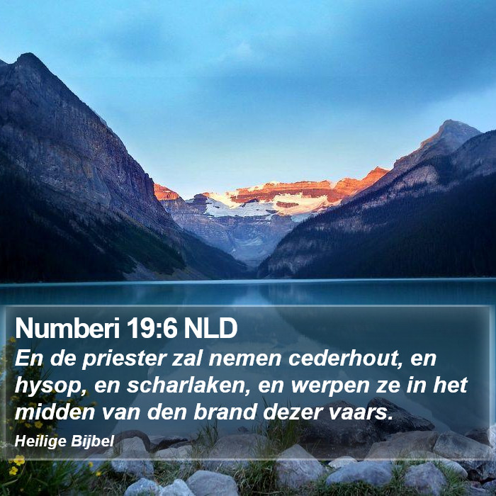 Numberi 19:6 NLD Bible Study